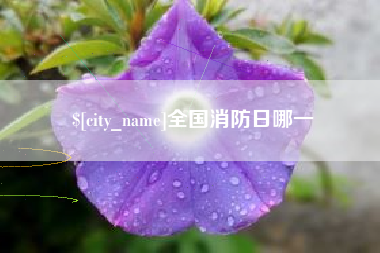松原全国消防日哪一