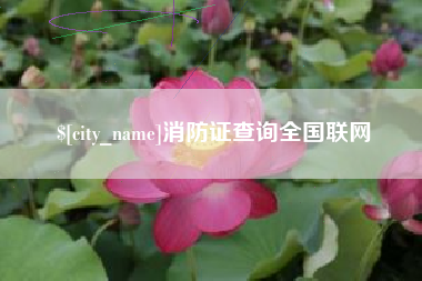 松原消防证查询全国联网