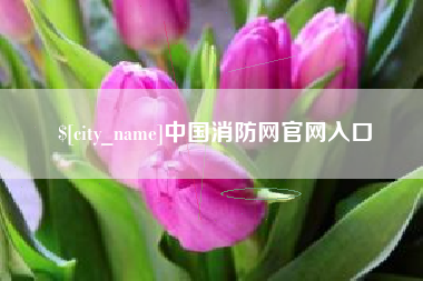 松原中国消防网官网入口