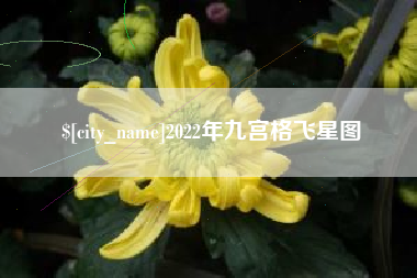松原2022年九宫格飞星图