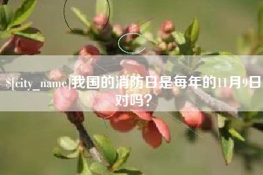 松原我国的消防日是每年的11月9日对吗？