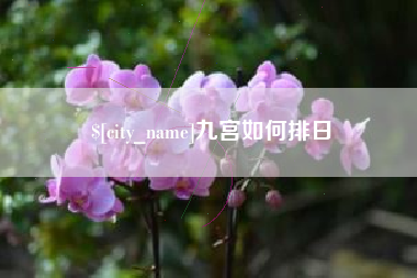 松原九宫如何排日