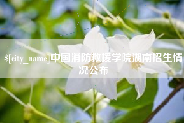 松原中国消防救援学院湖南招生情况公布