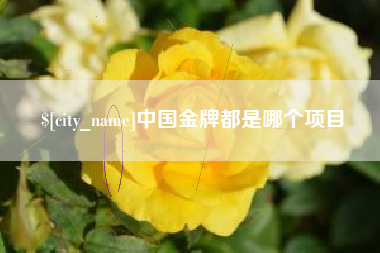 松原中国金牌都是哪个项目