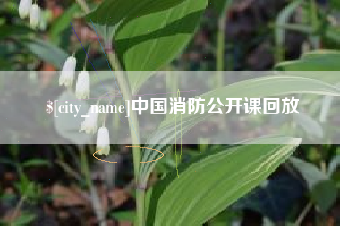 松原中国消防公开课回放