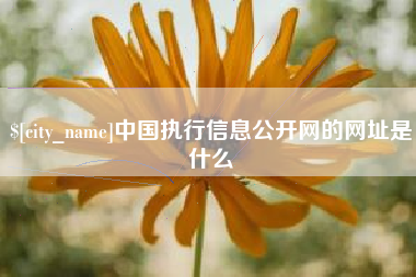 松原中国执行信息公开网的网址是什么