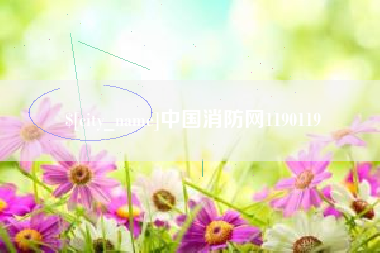 松原中国消防网1190119