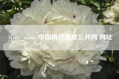 松原中国执行信息公开网 网址