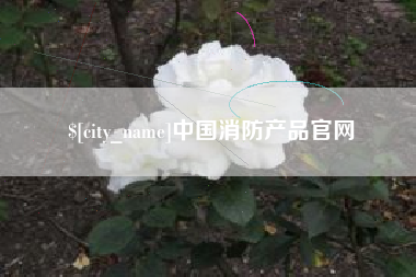 松原中国消防产品官网