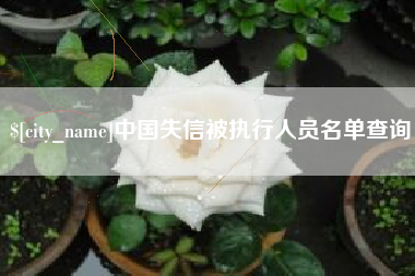 松原中国失信被执行人员名单查询