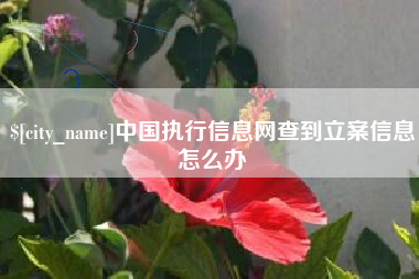 松原中国执行信息网查到立案信息怎么办