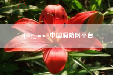 松原中国消防网平台