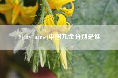 松原中国九金分别是谁