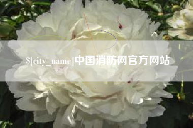 松原中国消防网官方网站