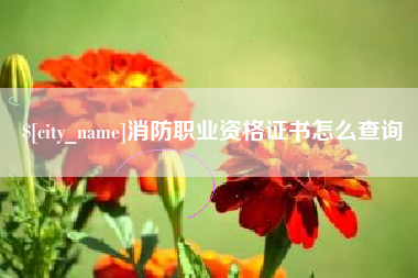松原消防职业资格证书怎么查询