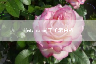 松原王子豪百科