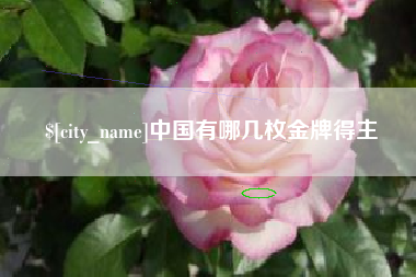 松原中国有哪几枚金牌得主