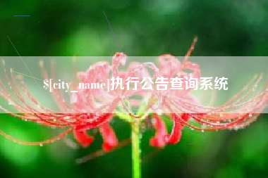 松原执行公告查询系统