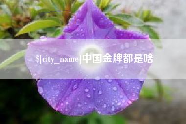 松原中国金牌都是啥