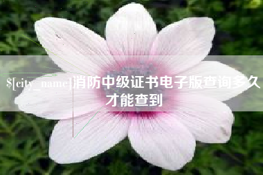 松原消防中级证书电子版查询多久才能查到