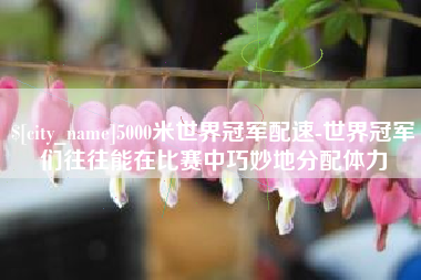 松原5000米世界冠军配速-世界冠军们往往能在比赛中巧妙地分配体力