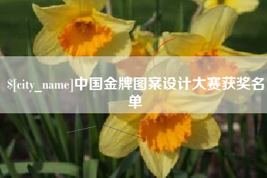 松原中国金牌图案设计大赛获奖名单