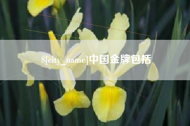 松原中国金牌包括