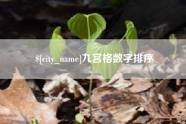 松原九宫格数字排序