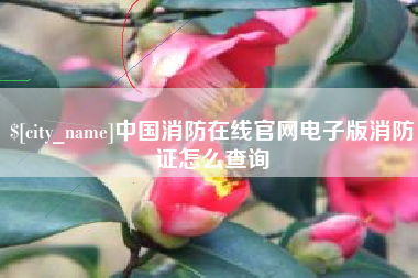 松原中国消防在线官网电子版消防证怎么查询