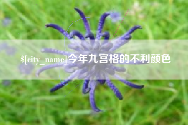 松原今年九宫格的不利颜色