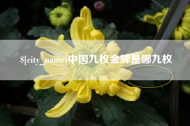 松原中国九枚金牌是哪九枚