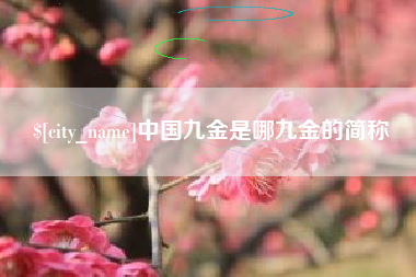 松原中国九金是哪九金的简称