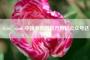 松原中国消防网官方网站公众号达伦特