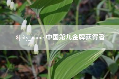 松原中国第九金牌获得者