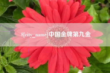 松原中国金牌第九金