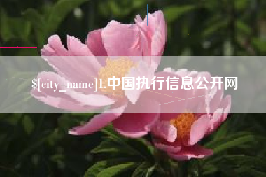 松原1.中国执行信息公开网