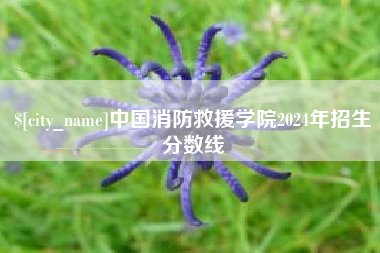 松原中国消防救援学院2024年招生分数线