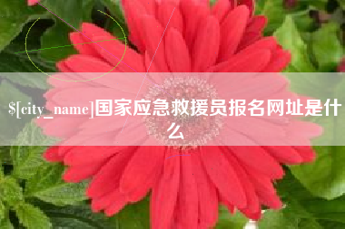 松原国家应急救援员报名网址是什么