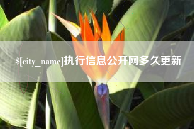 松原执行信息公开网多久更新