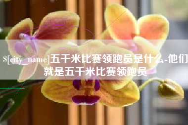 松原五千米比赛领跑员是什么-他们就是五千米比赛领跑员