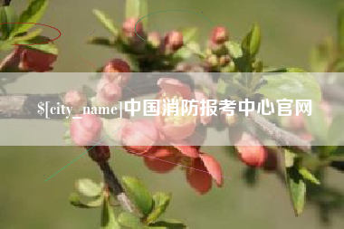 松原中国消防报考中心官网