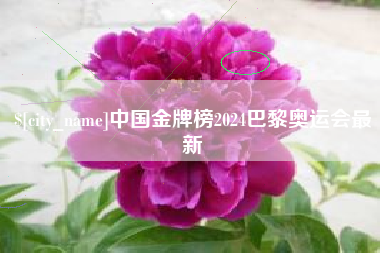 松原中国金牌榜2024巴黎奥运会最新