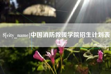 松原中国消防救援学院招生计划表