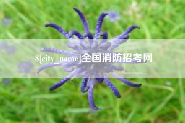 松原全国消防招考网