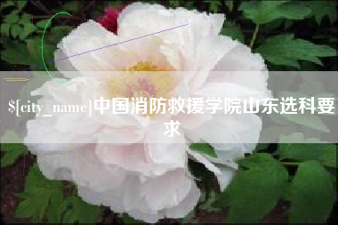 松原中国消防救援学院山东选科要求