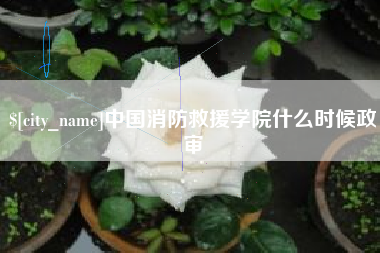 松原中国消防救援学院什么时候政审