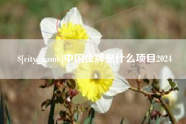 松原中国金牌是什么项目2024