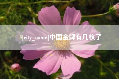 松原中国金牌有几枚了