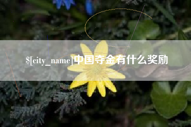 松原中国夺金有什么奖励