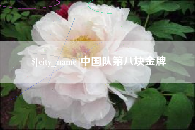 松原中国队第八块金牌